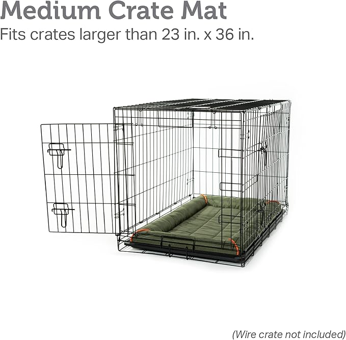 Friends Forever Bolster Dog Crate Mat 36 Inch