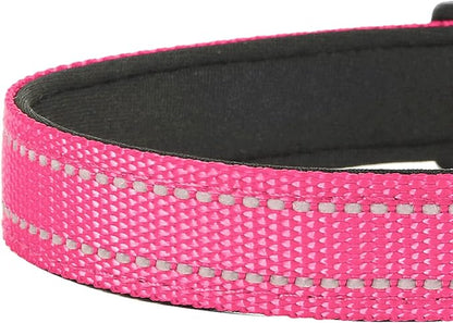 Reflective Dog Collar