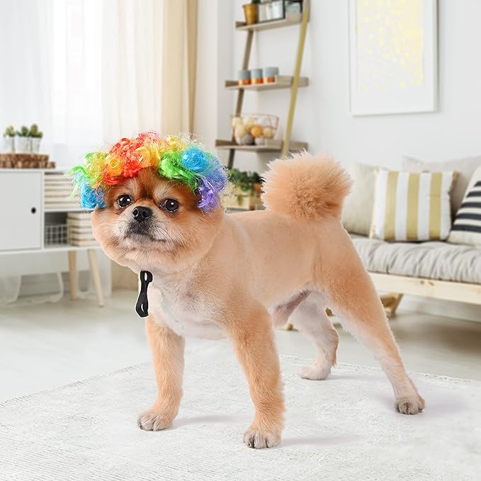 Funny Dog Cat Cosplay Wig, Headwear Apparel Toy, Pet Costumes, Cat Dress up for Halloween, Christmas, Parties, Festivals, Dog Wigs for Small Medium and Large Dogs (Colorful Clown Hair)