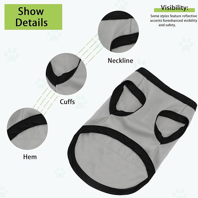 Elevate Your Pet's Seasonal Style with Playful Panache: 8-Piece Set 8pc Large