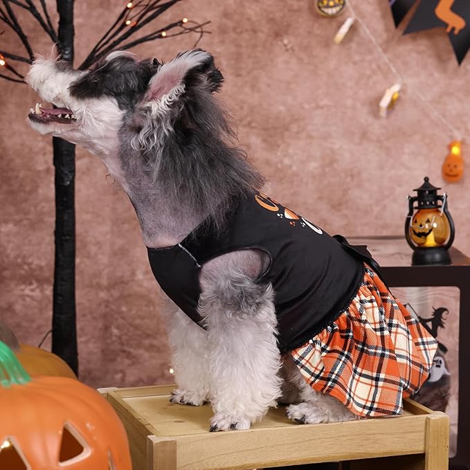 CuteBone Halloween Dog Dresses Velvet Holiday Small Dogs CVA45L-D