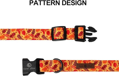 Lionet Paws Orange Dogs Collar Fall 8-12 inches
