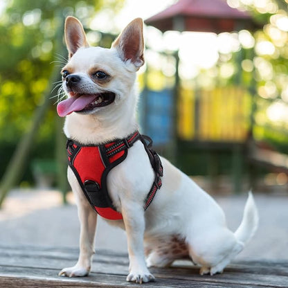 rabbitgoo Dog Harness 2 Leash