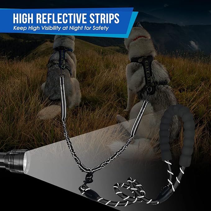 Lukovee Double Dog Leash 360° Swivel