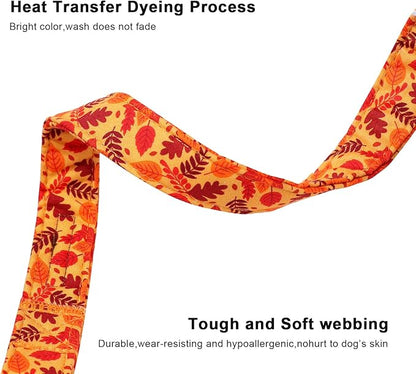 Lionet Paws Orange Dogs Collar Fall 16-24 inches