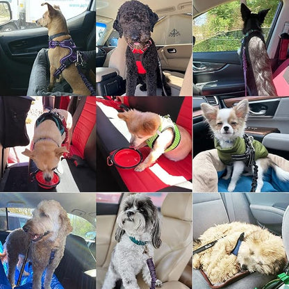 SlowTon Dog Car Seat Belt 1 Pack)