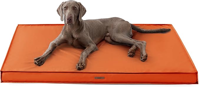 Lesure XXL Waterproof Dog Beds