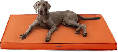 Lesure XXL Waterproof Dog Beds