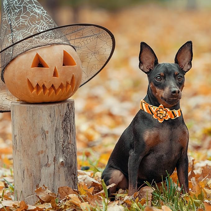 Elegant little tail Halloween Dog Collar