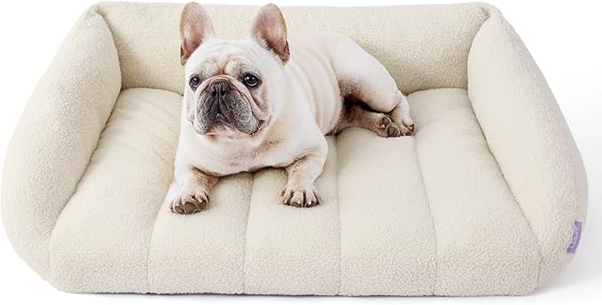 Lesure Orthopedic Dog Bed Sofa for Medium Dogs Foam(28" x 23" x 10", Cream)