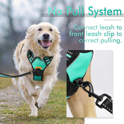 rabbitgoo Dog Harness, No-Pull Pet Harness with 2 Leash Clips, Adjustable Soft Padded Dog Vest, Reflective No-Choke Pet Oxford Vest with Easy Control Handle for Medium Dogs, Turquoise, M