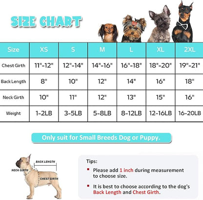 HDKUW Small Dog Raincoat and Rain Shoes Set