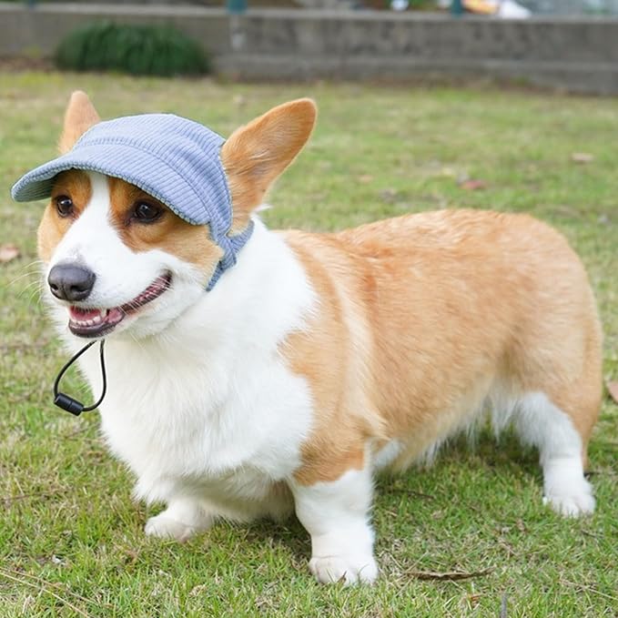 Dog Baseball Cap