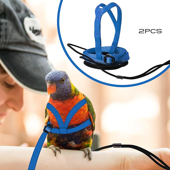 2 pcs Pet Parrot Bird Harness and Leash, Adjustable Training Design Anti-Bite, Outdoor Flying Training Rope Kit for Bird Parrots Fits Birds Chest Between24-51cm /9.45-20inch - M (Blue)