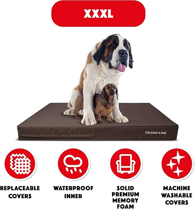 The Dog’s Bed Orthopedic Memory Foam Dog Bed 64x44, Pain