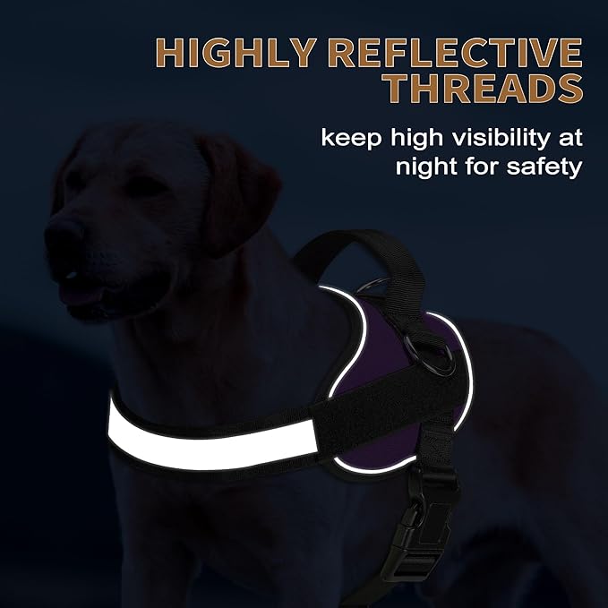 Haapaw Essential Dog Harness, No Pull Pet Vest with 3 Leash Clips, No Choke, Reflective, Adjustable and Padded, for Easy Walking and Training for Large Dogs(L, Purple)