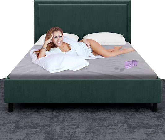 Paw Buddies Waterproof Blanket for Intimacy