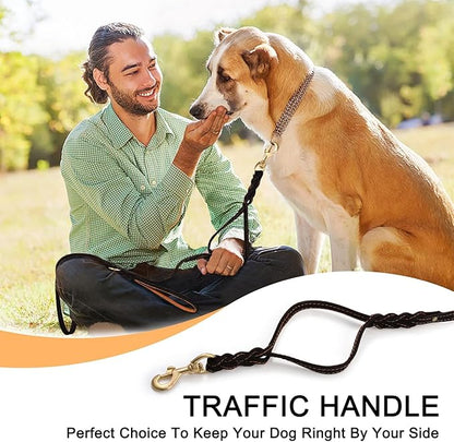 Guiding Star Double Handle Leather Dog Leash 6ft 6ft x 5/8 inch)