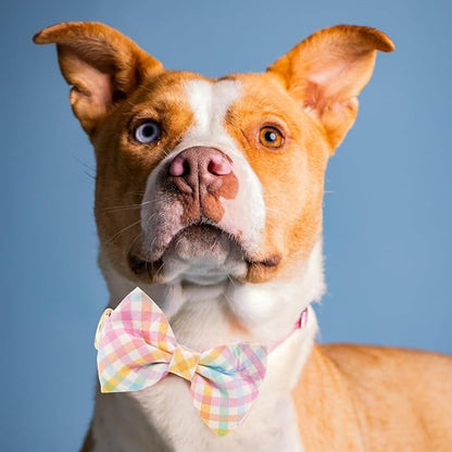 Adjustable Pet Bow Tie and Dog Collar for Small Medium Large Dogs