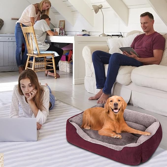 PUPPBUDD Dog Beds for Medium Dogs