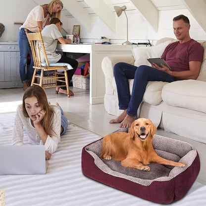 PUPPBUDD Dog Beds for Medium Dogs