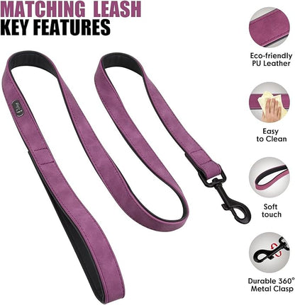Didog Soft Padded Leather Dog Collar and Leash Set 4FT Leather