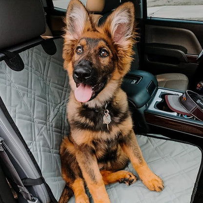 Bulldogology Dog Front Seat Cover