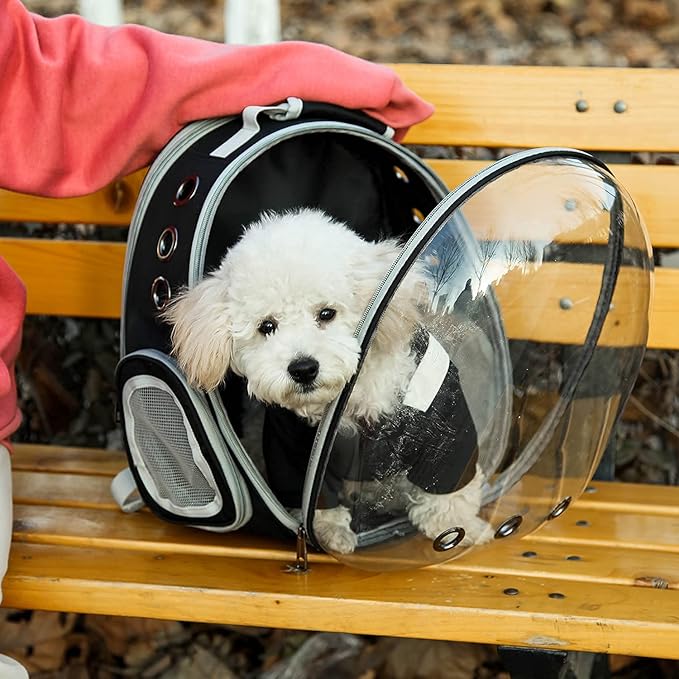 Cat Backpack Carriers, Expandable Optional, Foldable & Breathable, Pet Carrier for Puppy Small Dog Cat, Ventilate Transparent Clear Bubble Bag for Travel, Hiking and Outdoor Use, Light Blue