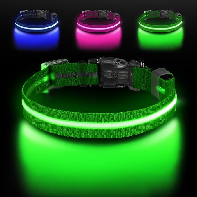 Led Dog Collar for Night Walking