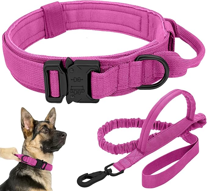 Tactical Dog Collar Leash Set