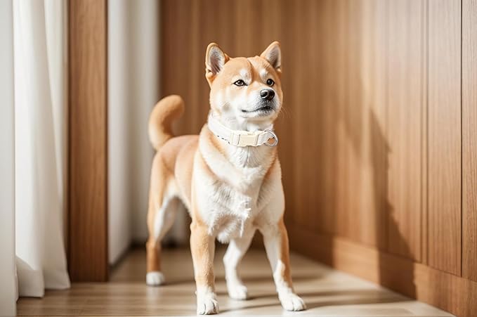 Breathable Cotton Dog Collar