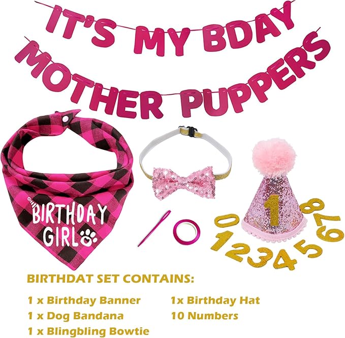 Birthday Plaid Dog Bandana with Button