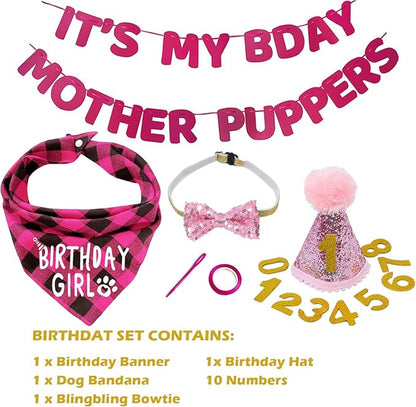 Birthday Plaid Dog Bandana with Button