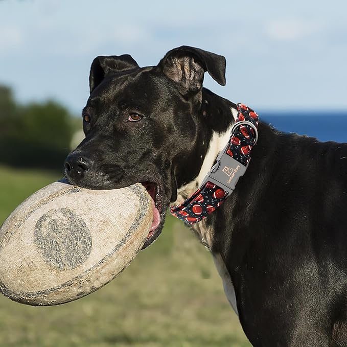Lionheart glory Dog Collar Rugby Print Dogs Collar