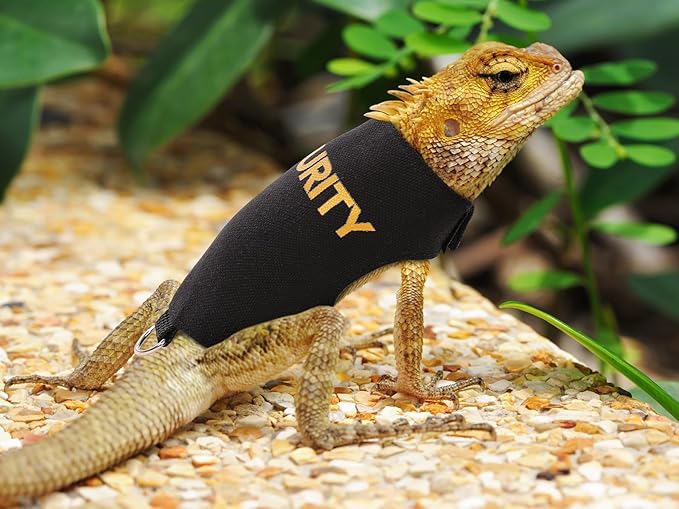 Bearded Dragon Lizards Clothes with Leash,Set for Small Pets Reptiles Guinea Pig Apparel Lizards Outdoor Walking Training Harness Leash Hand-Made Security Costume Photo Prop