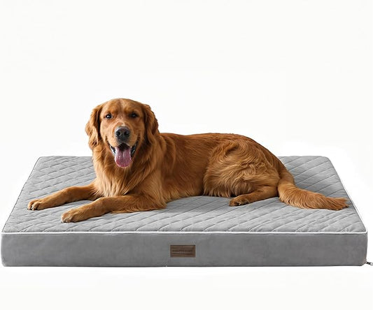 SunStyle Home Orthopedic Dog Beds for XX-Large Dogs