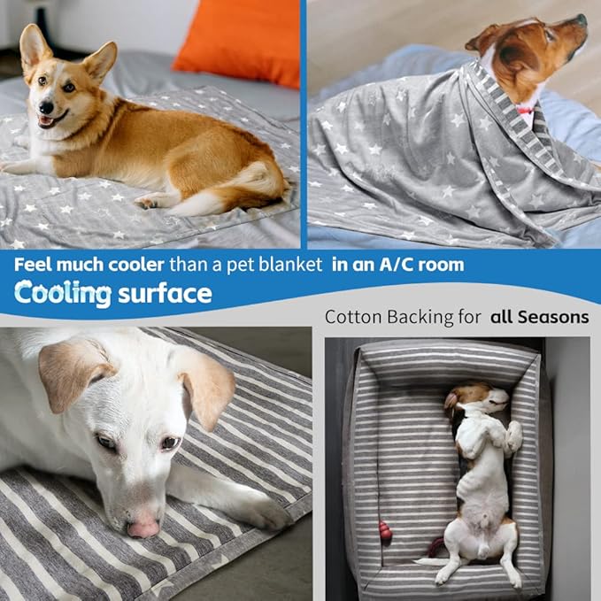 ARGOPET Dog Cooling Blanket 41 * 30inch Lightweight