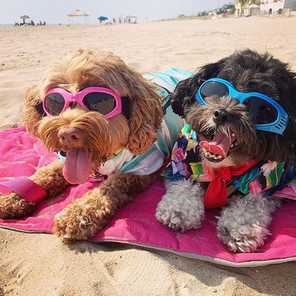 NAMSAN Dog Sunglasses Medium Breed UV Protection Dog Goggles for Small to Medium Dogs Windproof Anti-fog Snowproof Puppy Glasses