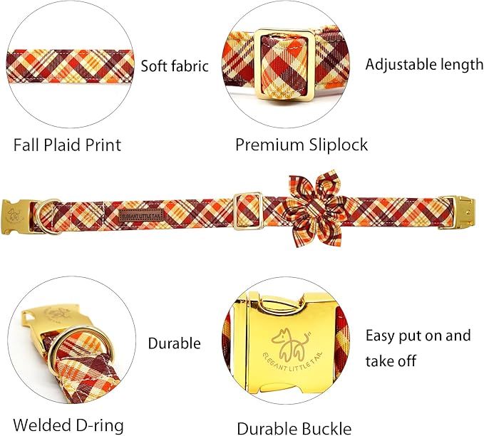 Elegant little tail Fall Dog Collar