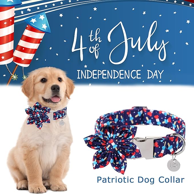 American Flag Dog Collar with Flower 4th of 13.5-22in