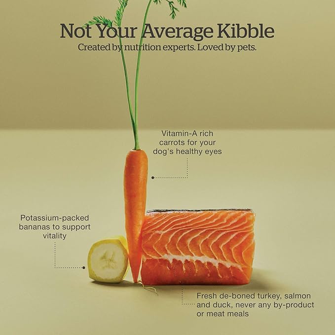 Now Fresh Grain-Free Dry Dog Food 3.5 lb