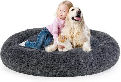 Dog Bed