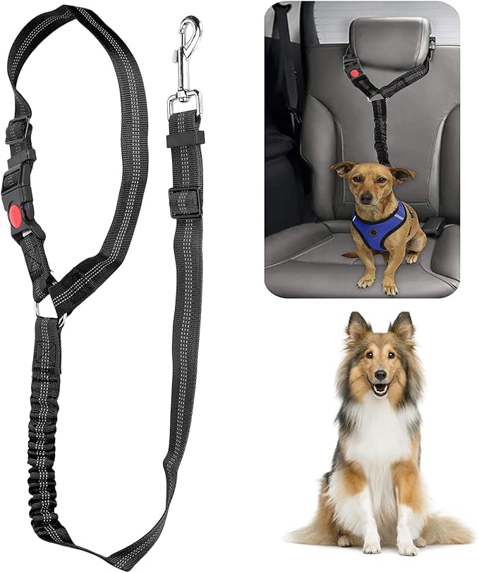 Dog Seat Belt for Cars