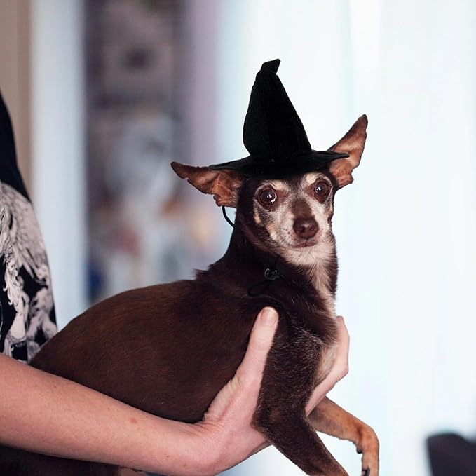 YARNOW 2 Pcs Dog Witch Hat Halloween Pet Hat Halloween Witch Hat for Dog Cat Pet Costume Accessories