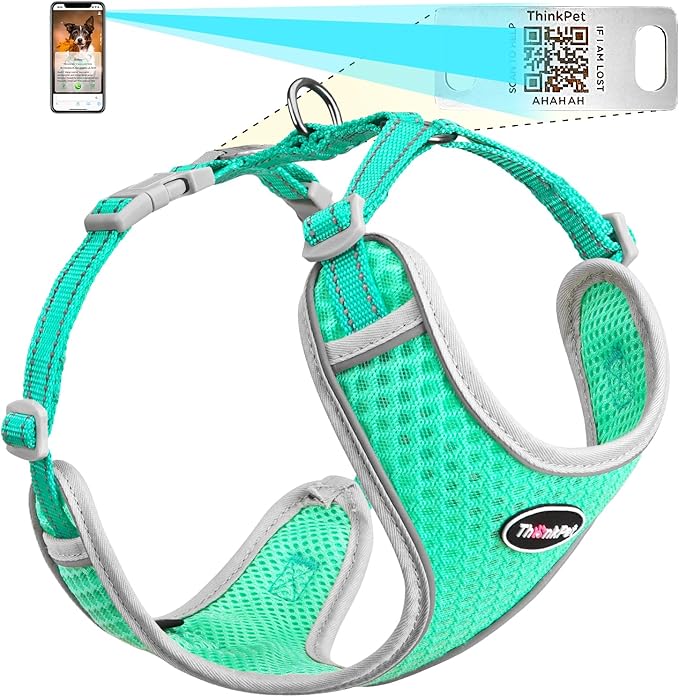 ThinkPet Reflective Breathable Soft Air Mesh with QR Code Dog Tag Puppy Choke Free Over Head Vest Harness for Puppy Small Medium Dogs and Cats Small Teal