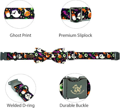 Elegant little tail Fall Dog Collar