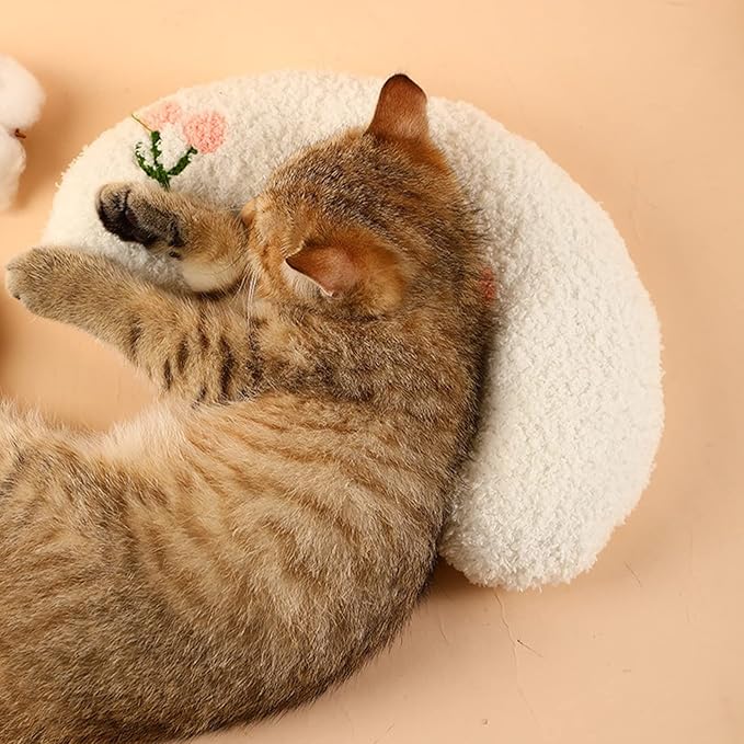Cat Pillows for Indoor Cats
