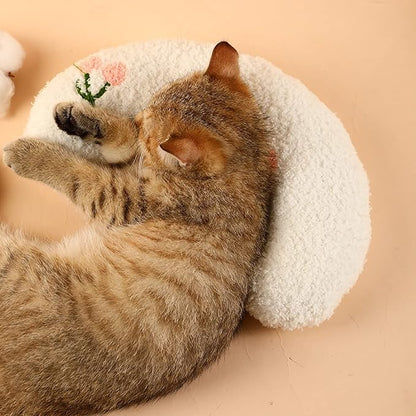 Cat Pillows for Indoor Cats