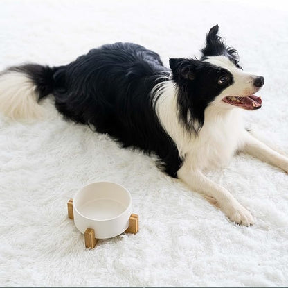 SPUNKYJUNKY Ceramic Dog and Cat Bowl with Wooden Stand, Modern Cute Weighted Food Water Bowl for Large Dogs & Cats White