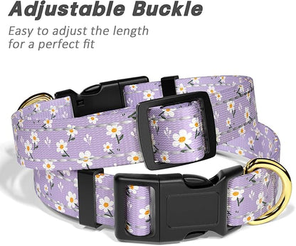 Reflective Dog Collar